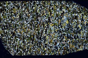 Cross Polarized, S58795