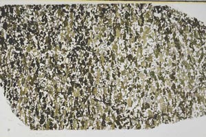 Plane Polarized, S58795