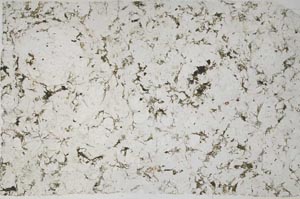Plane Polarized, S58818