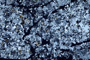 Cross Polarized, S58822