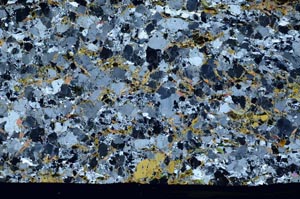 Cross Polarized, S58825