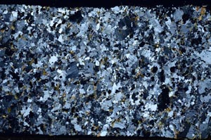 Cross Polarized, S58826