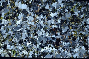 Cross Polarized, S58832