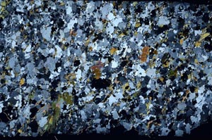 Cross Polarized, S58833