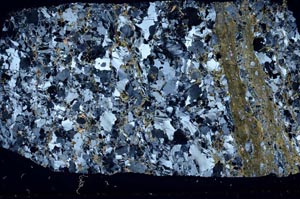 Cross Polarized, S58834