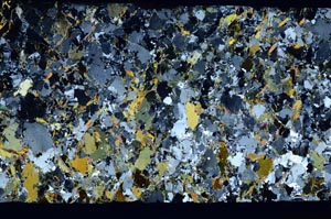 Cross Polarized, S58835