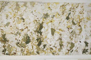 Plane Polarized, S58835