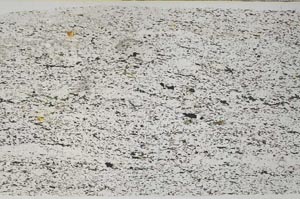 Plane Polarized, S59037