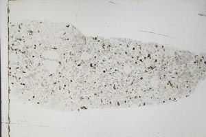 Plane Polarized, S59039/A