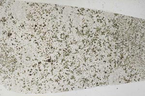 Plane Polarized, S59041