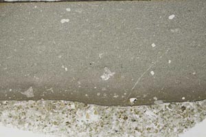 Plane Polarized, S59042