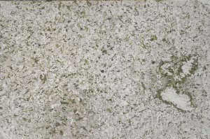 Plane Polarized, S59054