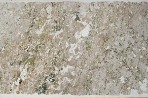 Plane Polarized, S59071