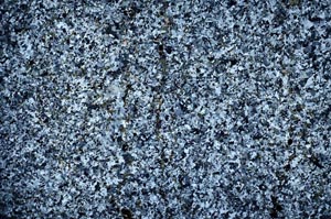 Cross Polarized, S59074