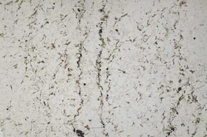 Plane Polarized, S59074