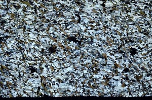 Cross Polarized, S59075