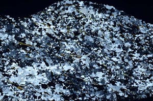 Cross Polarized, S59076