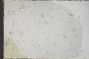 Plane Polarized, S59079