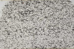 Plane Polarized, S59084