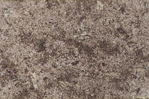 Plane Polarized, S59097