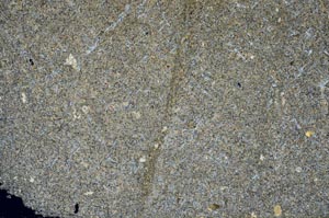 Cross Polarized, S59102