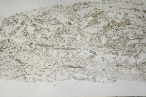 Plane Polarized, S59103