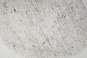 Plane Polarized, S59106