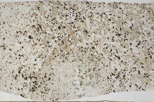 Plane Polarized, S59115