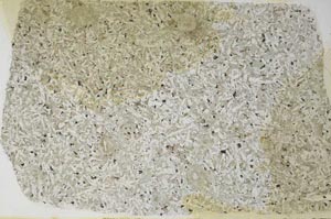 Plane Polarized, S59122