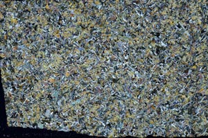 Cross Polarized, S59124