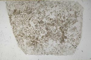 Plane Polarized, S59132