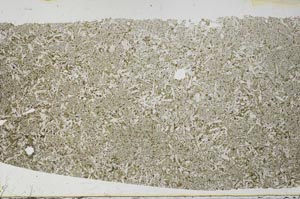 Plane Polarized, S59137