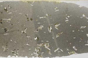 Plane Polarized, S59140
