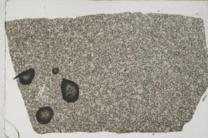 Plane Polarized, S59149