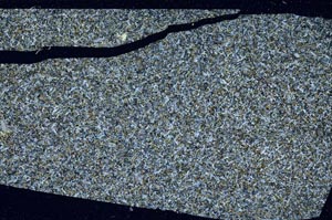 Cross Polarized, S59150