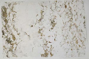 Plane Polarized, S59156