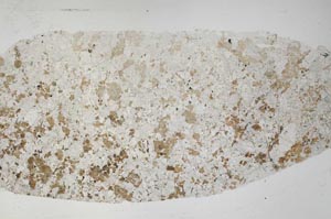 Plane Polarized, S59164