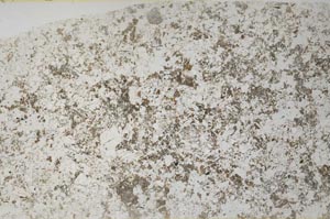 Plane Polarized, S59165