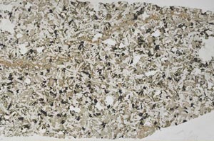 Plane Polarized, S59169