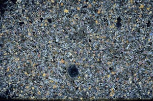 Cross Polarized, S59170