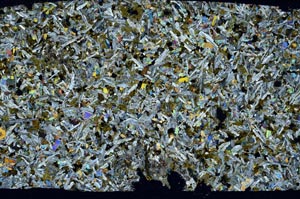 Cross Polarized, S59171