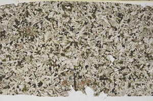 Plane Polarized, S59171