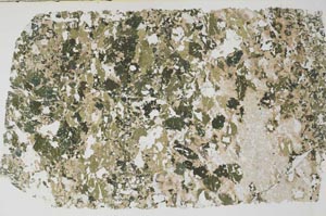 Plane Polarized, S59187