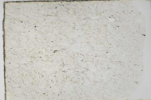 Plane Polarized, S59192
