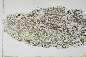 Plane Polarized, S59194