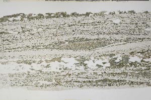 Plane Polarized, S59196