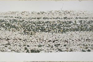 Plane Polarized, S59198