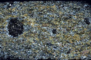 Cross Polarized, S59207