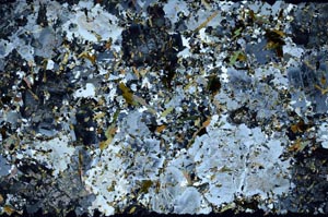 Cross Polarized, S59222