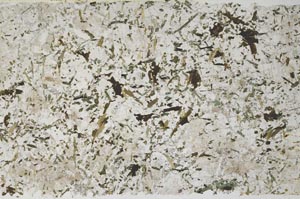 Plane Polarized, S59222